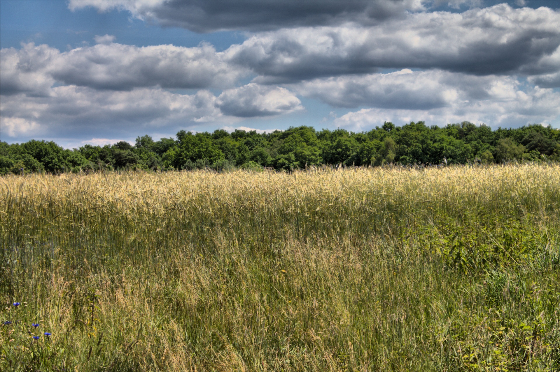 landscape season sun free photo