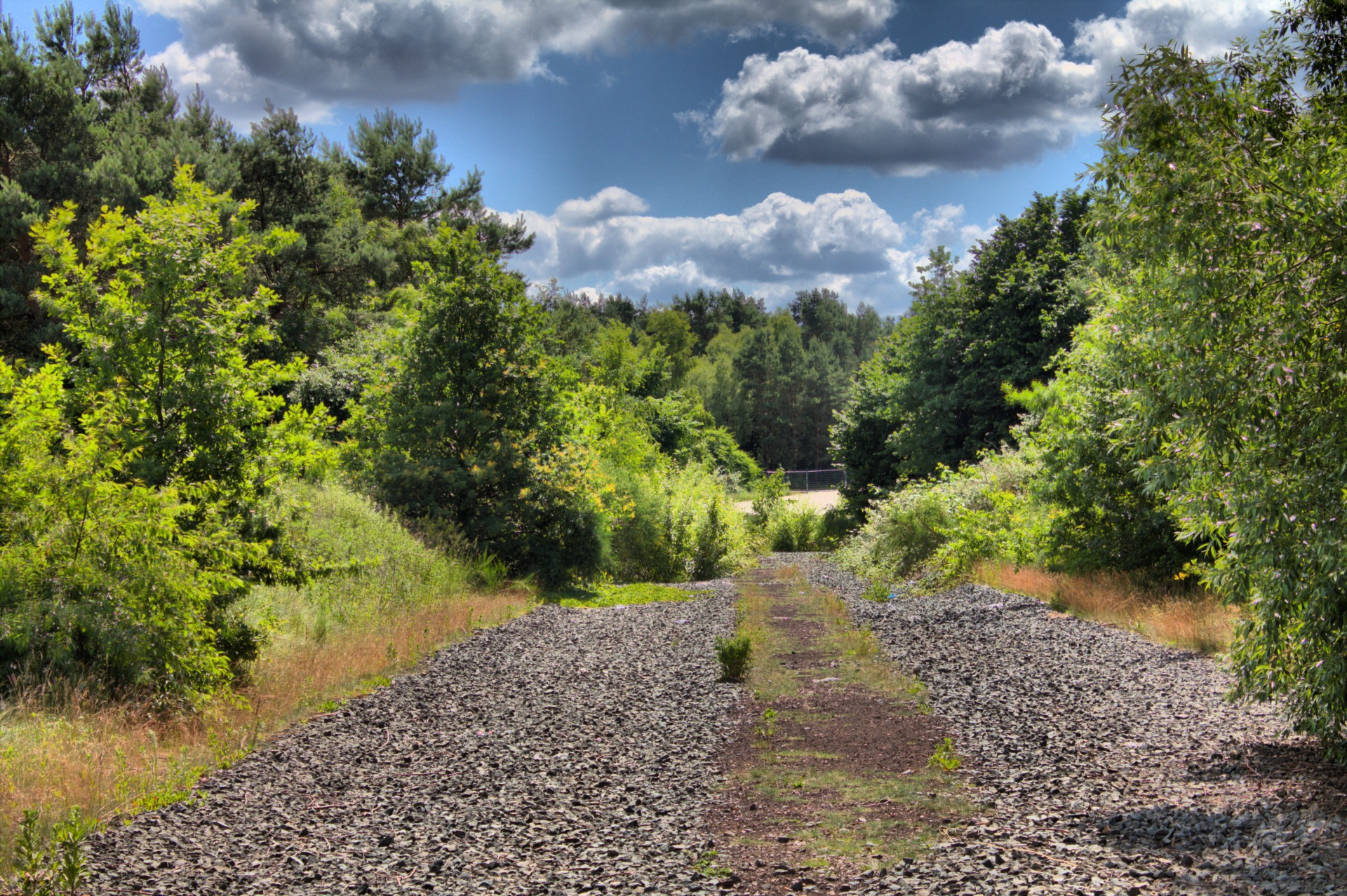 landscape season sun free photo