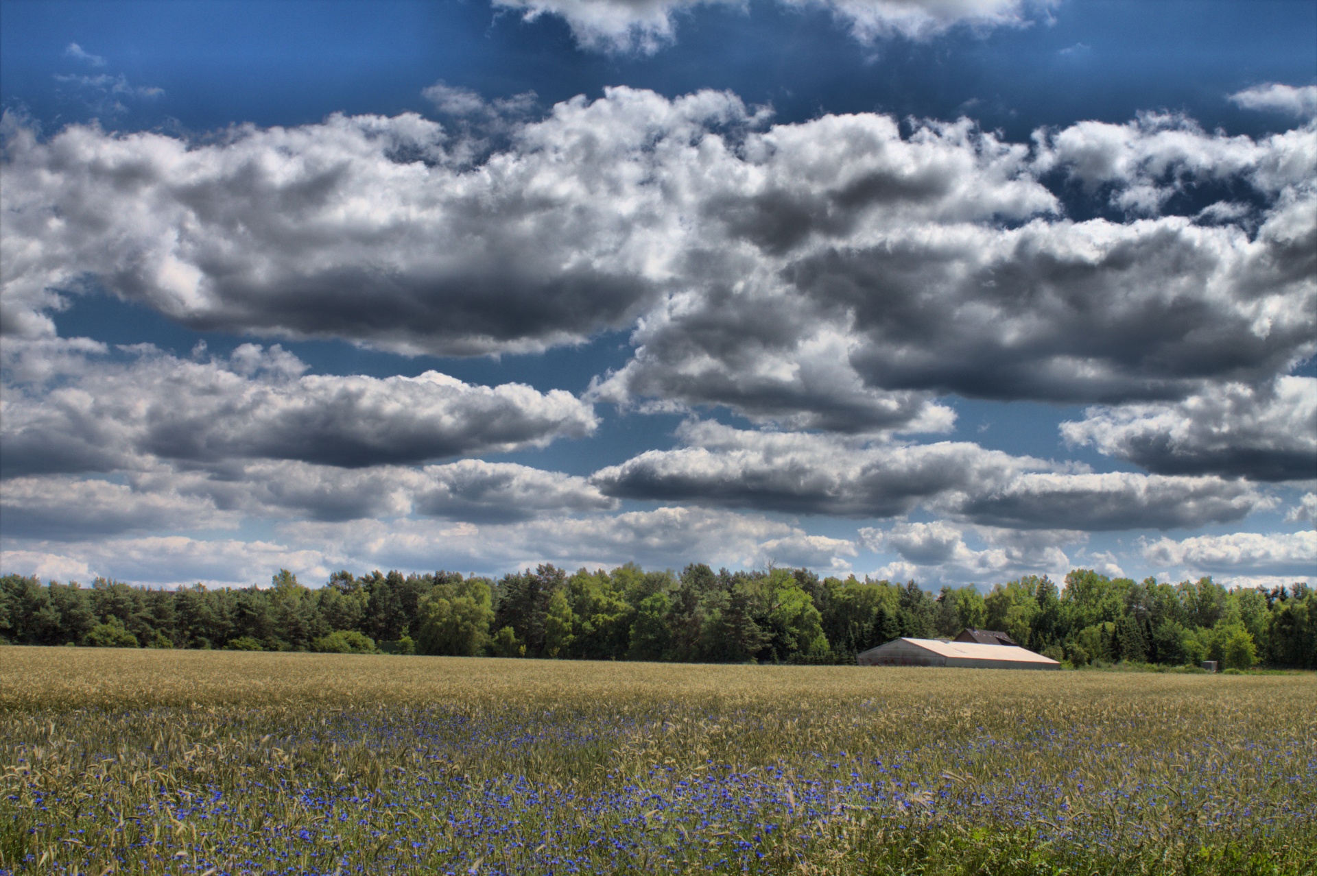 landscape season sun free photo