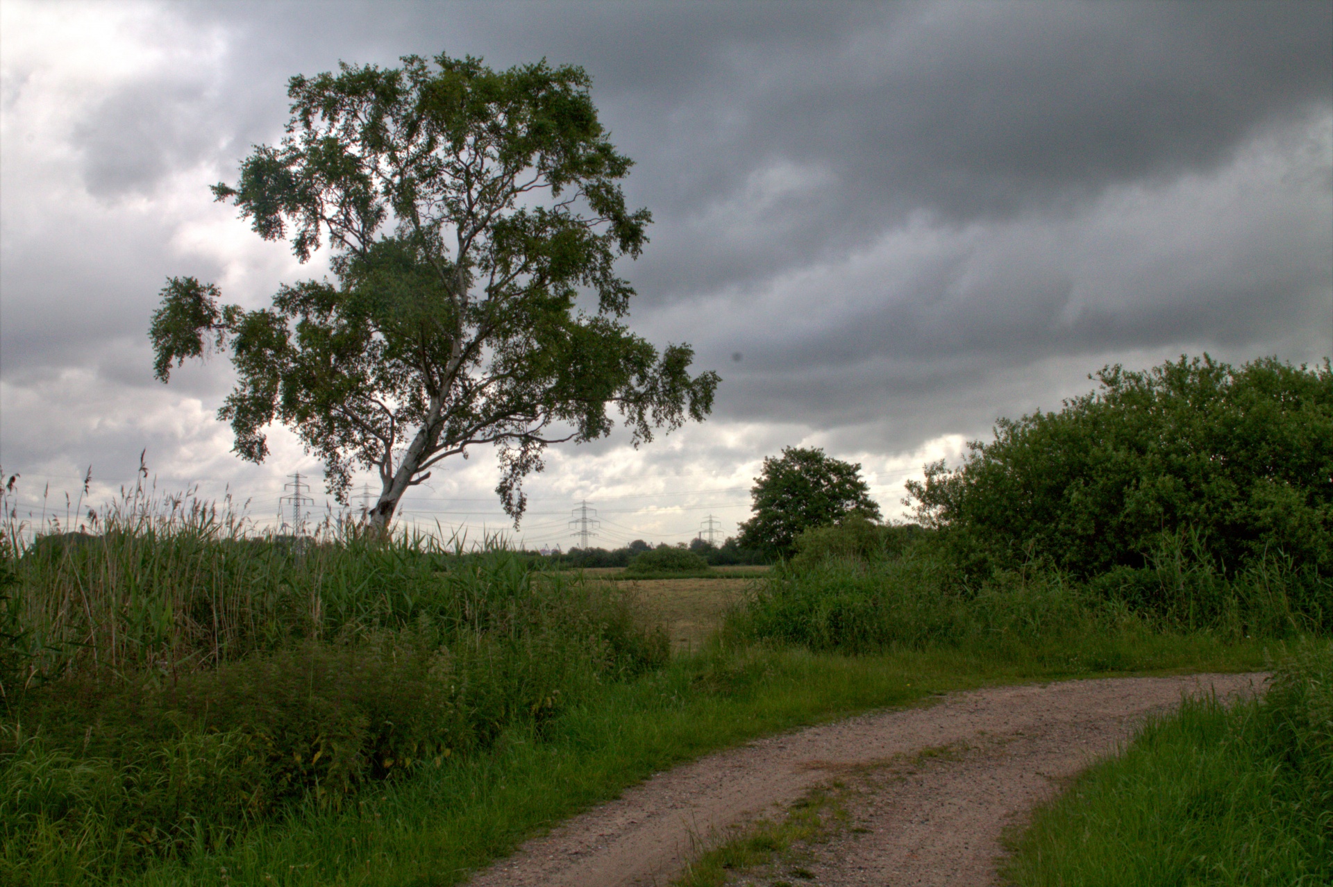 landscape season sun free photo