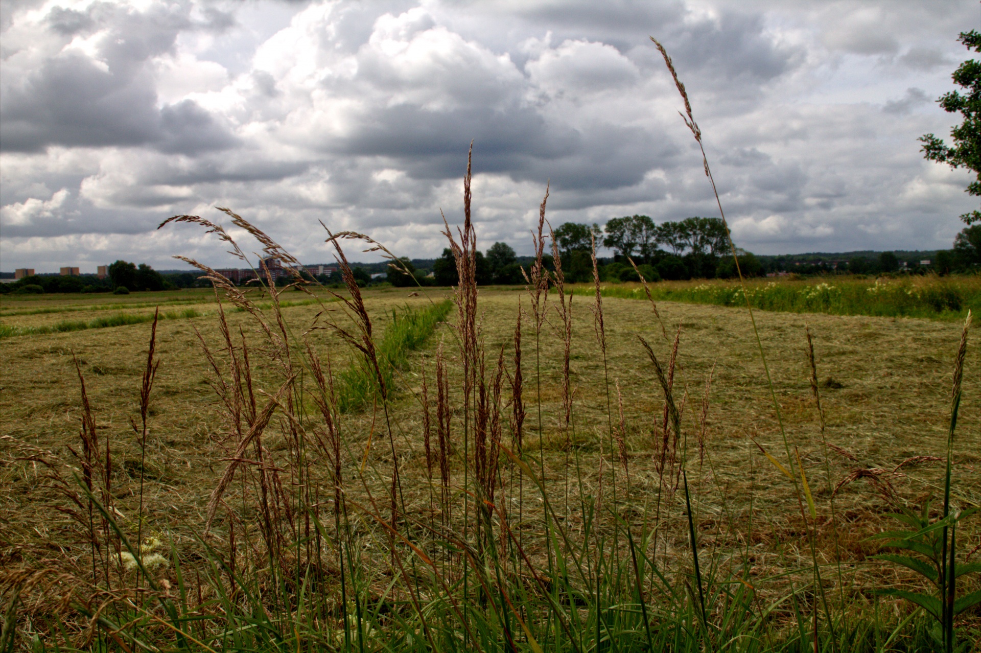 landscape season sun free photo