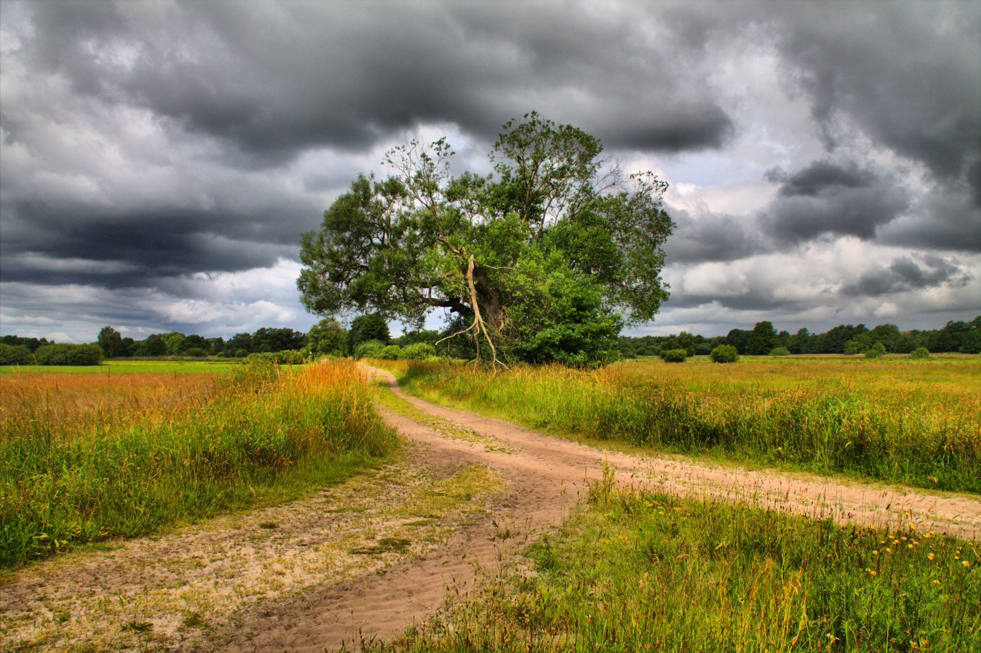 landscape season sun free photo