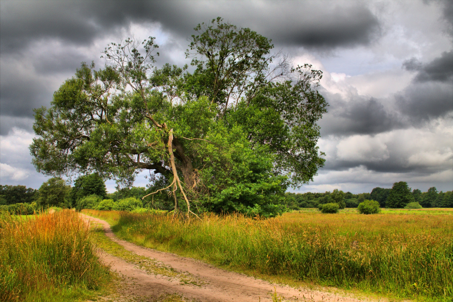 landscape season sun free photo