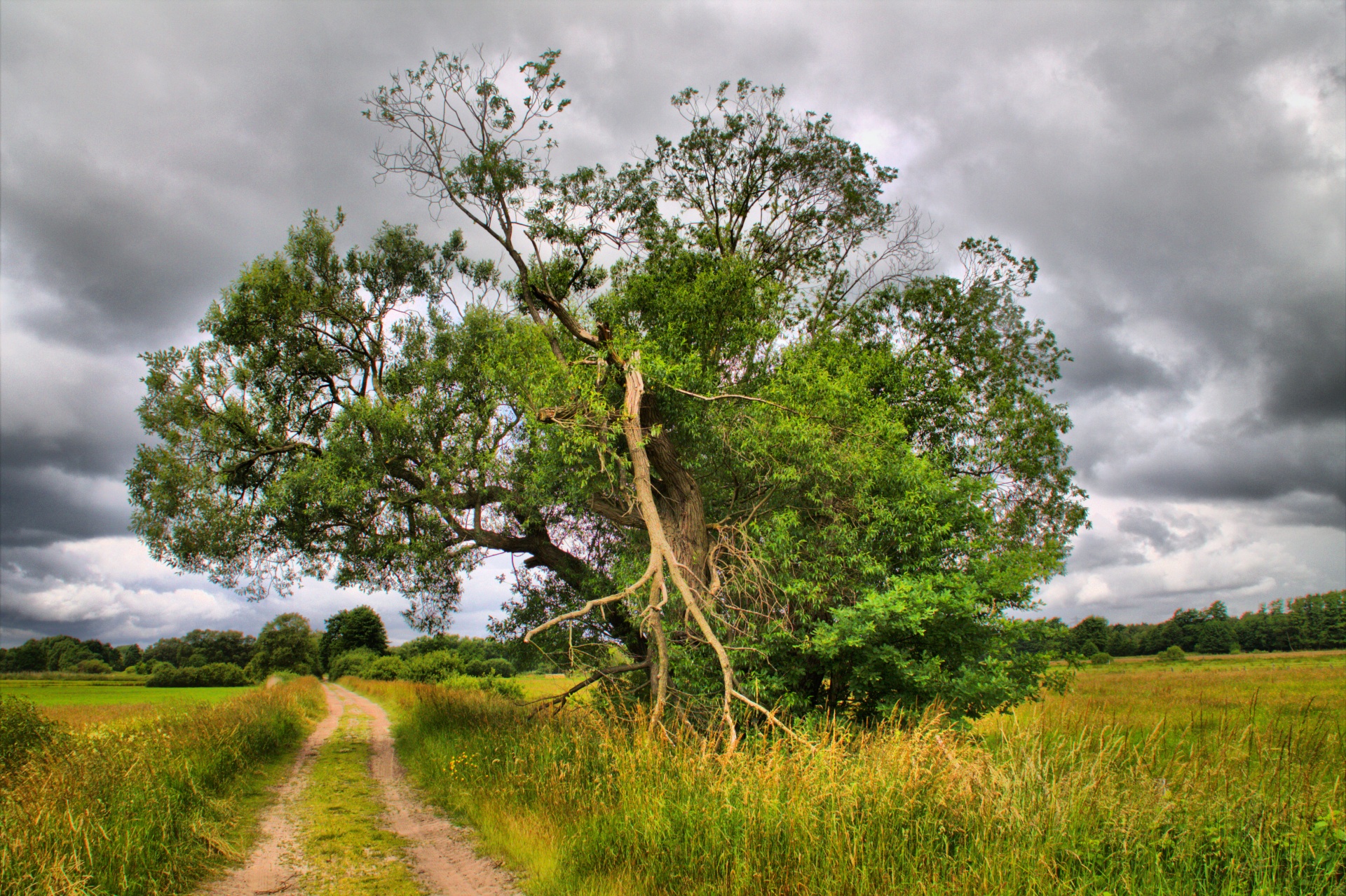 landscape season sun free photo