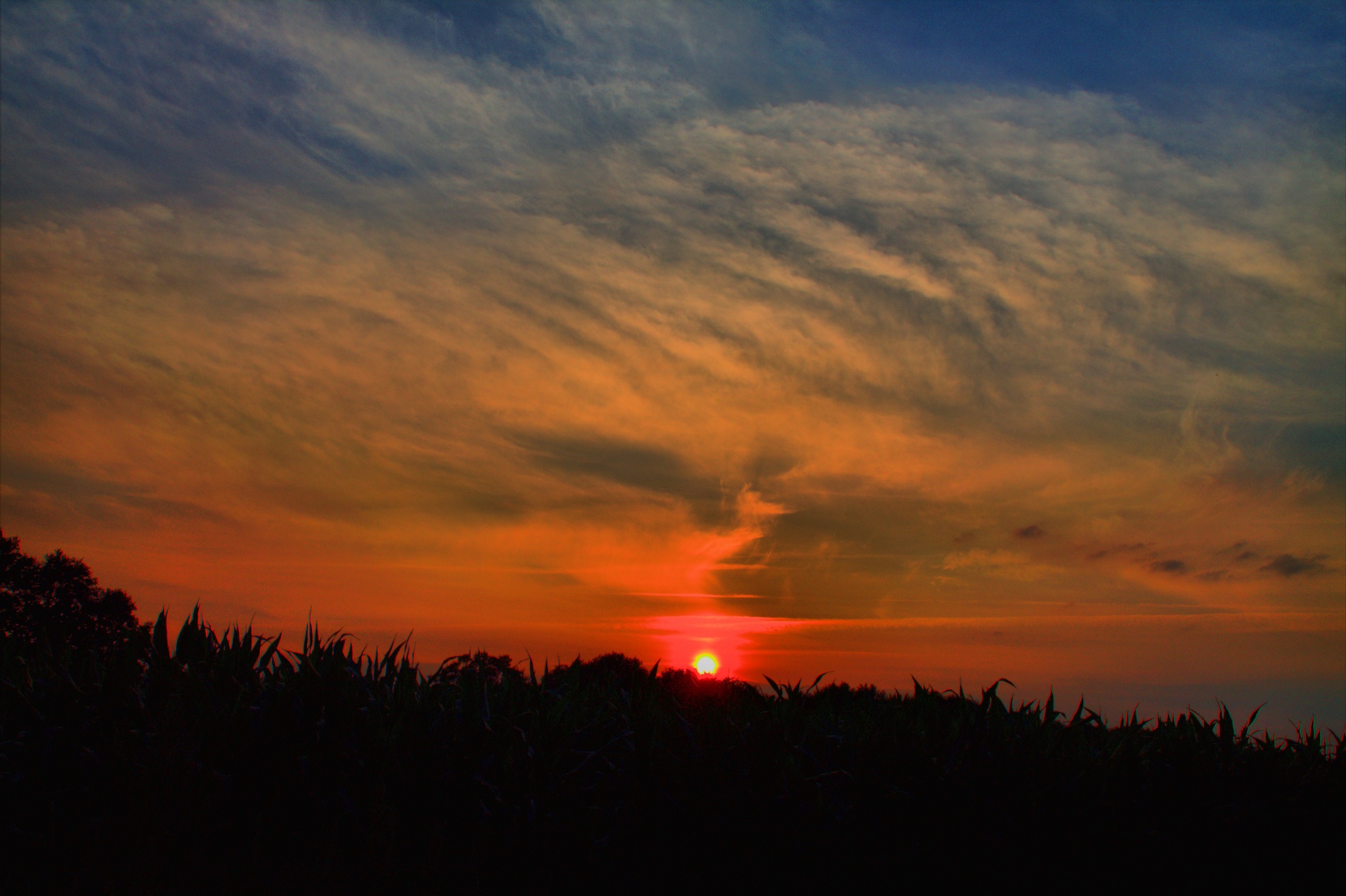 sunset clouds sky free photo