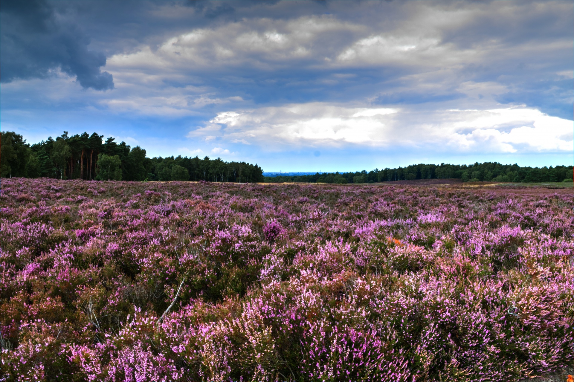 landscape season sun free photo