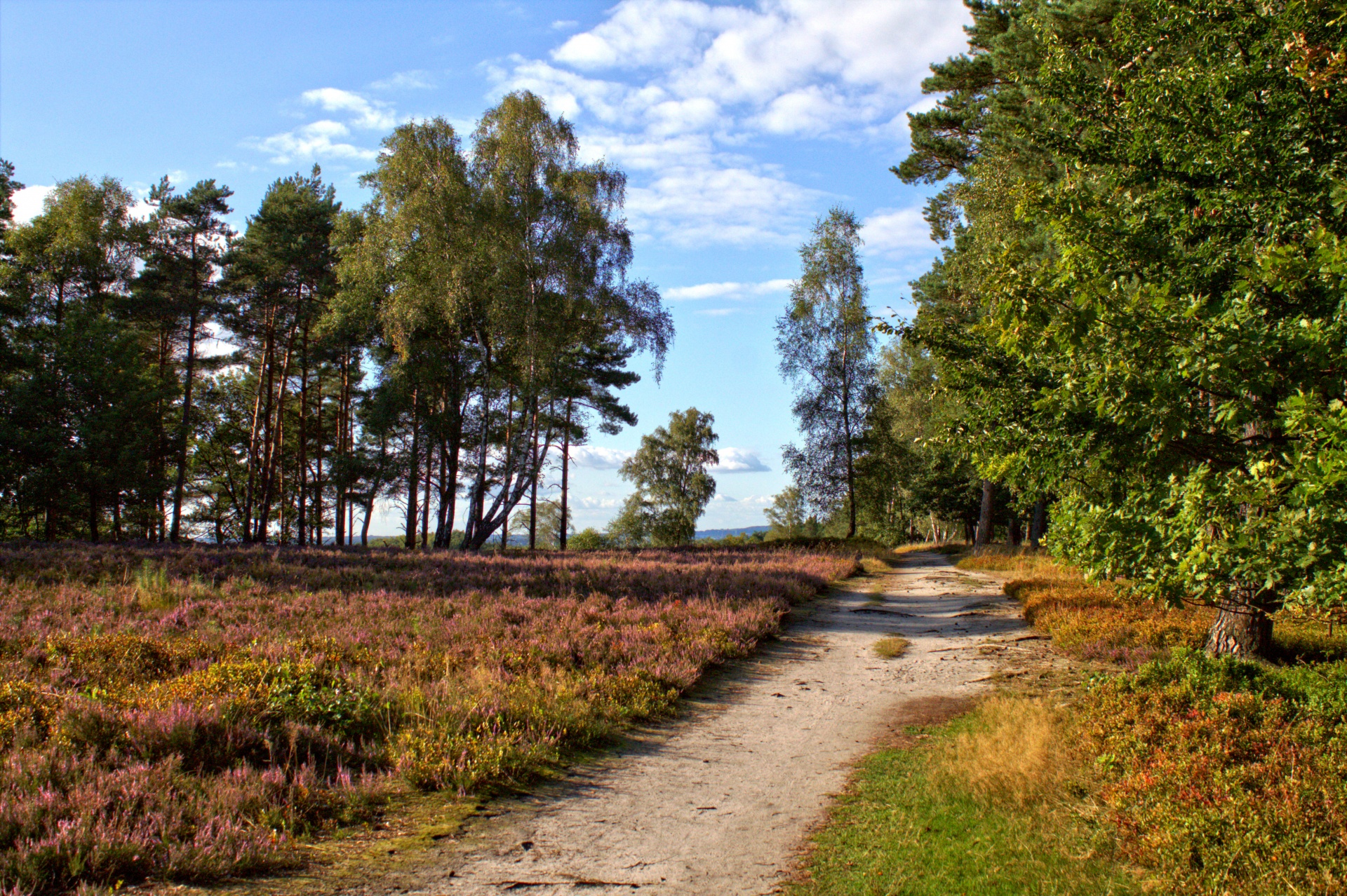 landscape season sun free photo