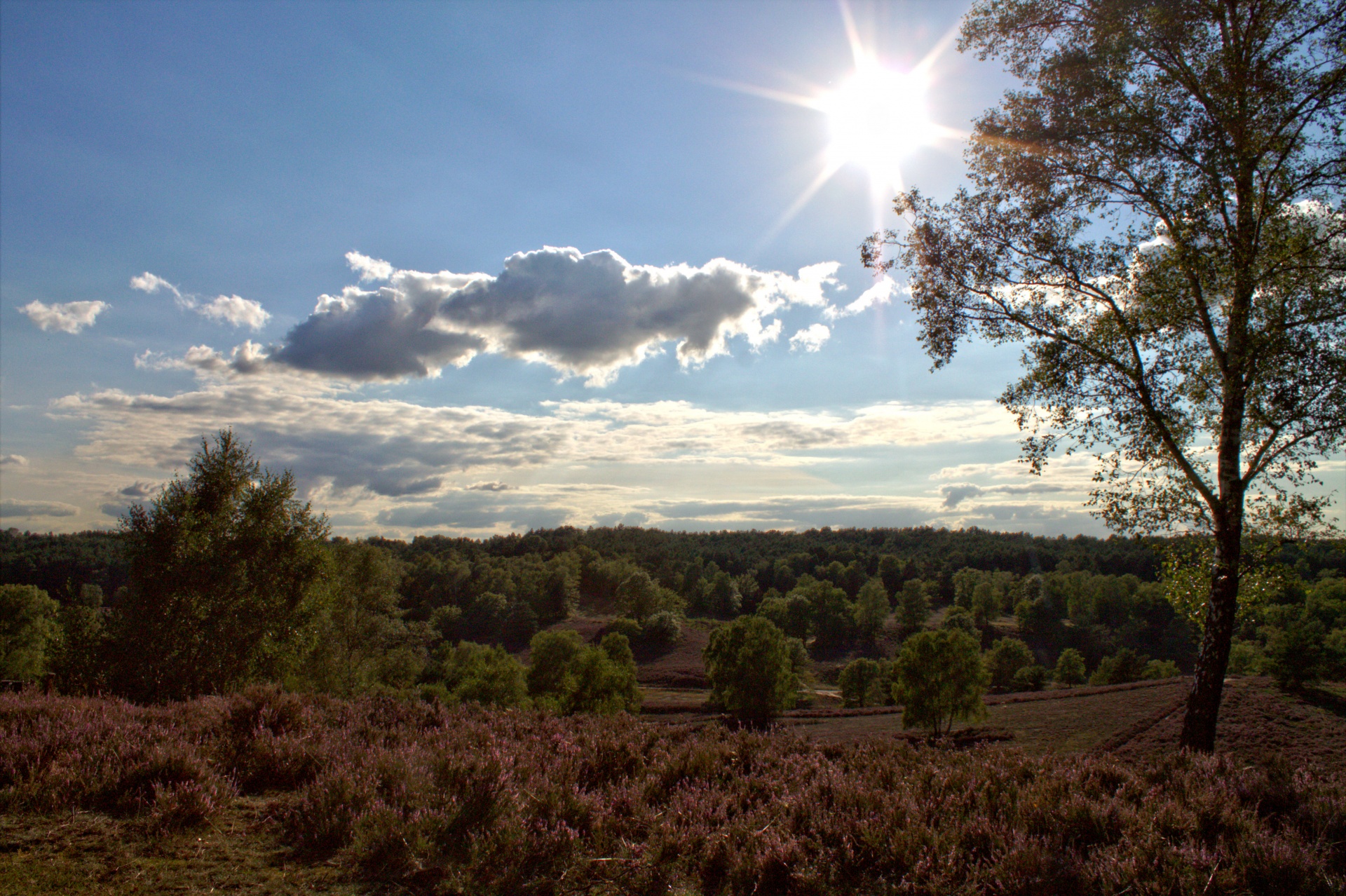 landscape season sun free photo