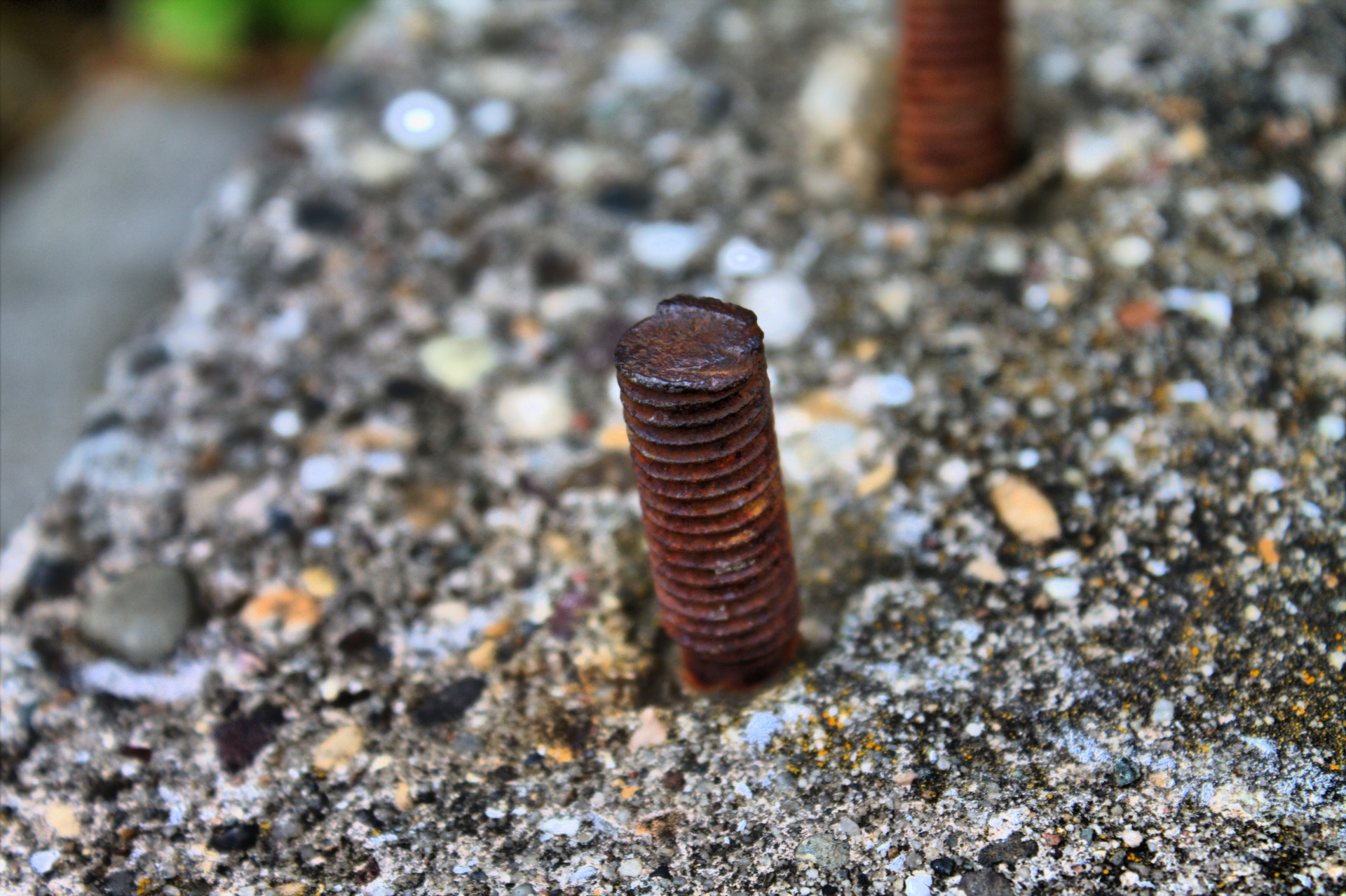 screw rust old free photo