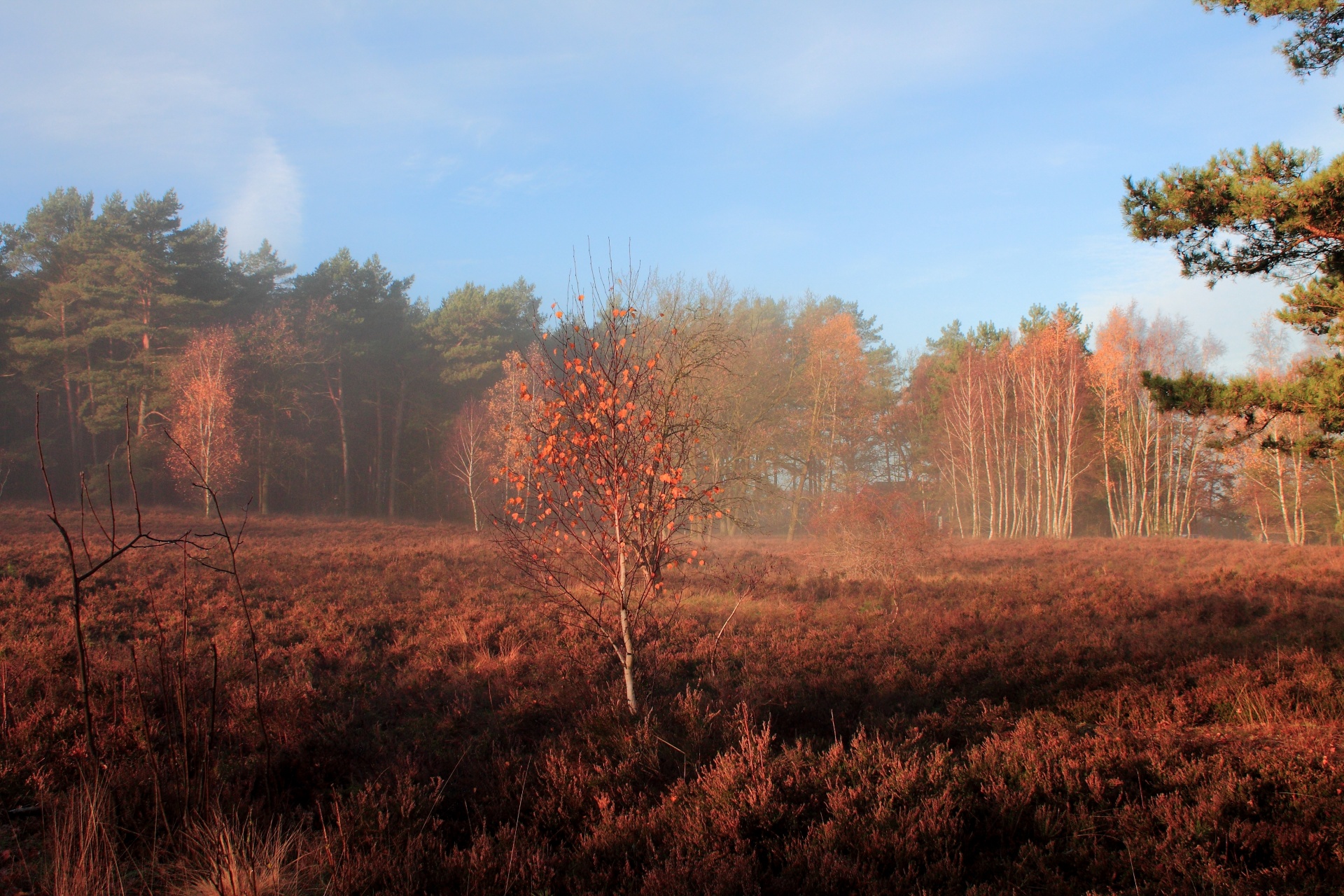 landscape season sun free photo