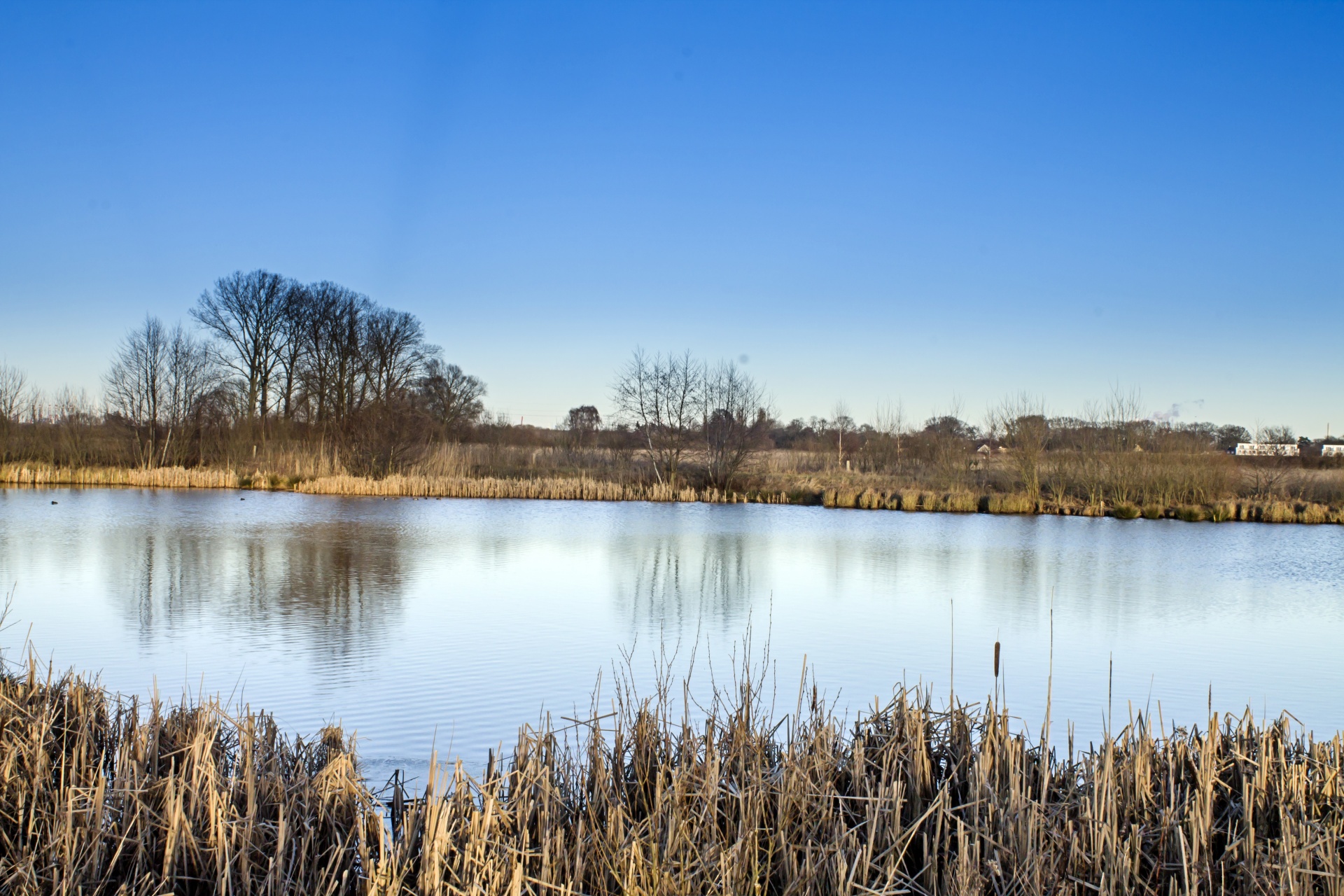 lake landscape nature free photo