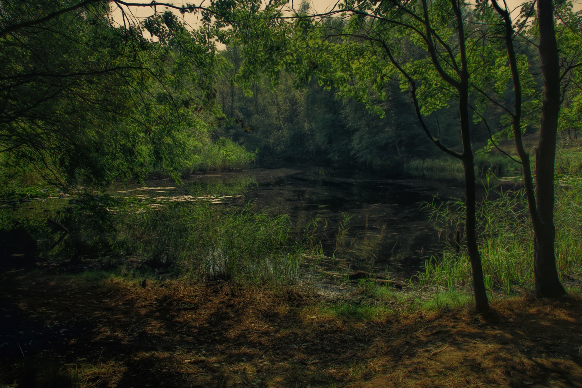 lake landscape nature free photo