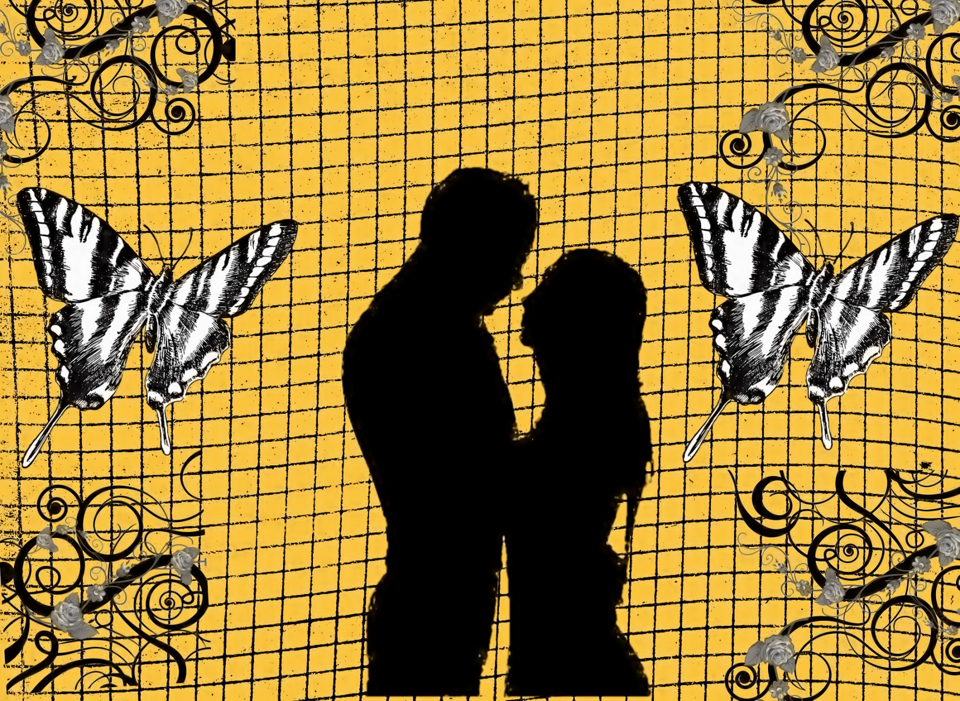 love couple butterflies free photo