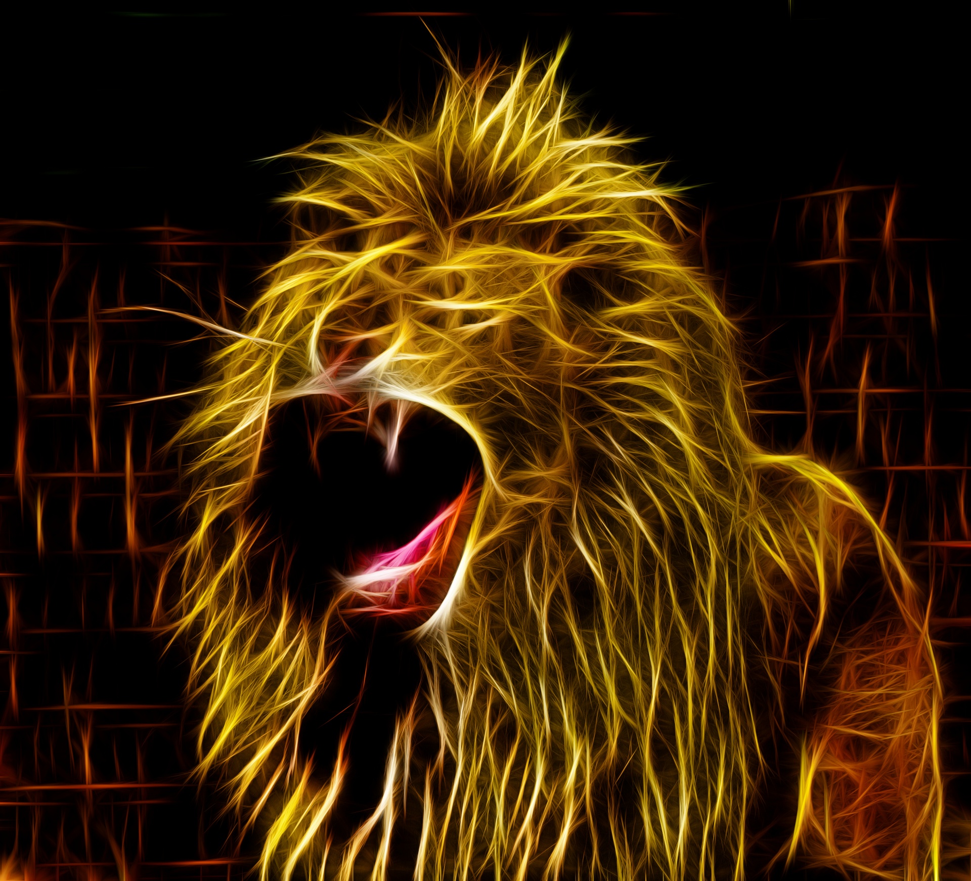 lion panthera leo free photo