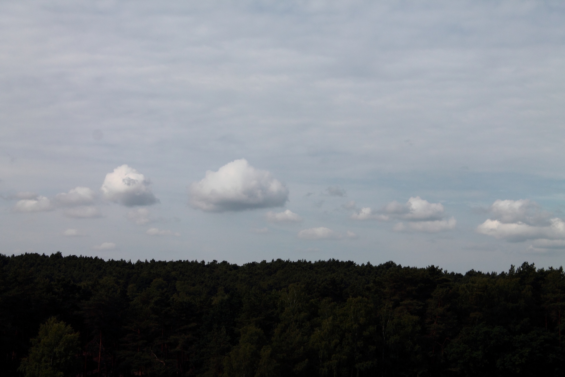 clouds blue clouds form free photo