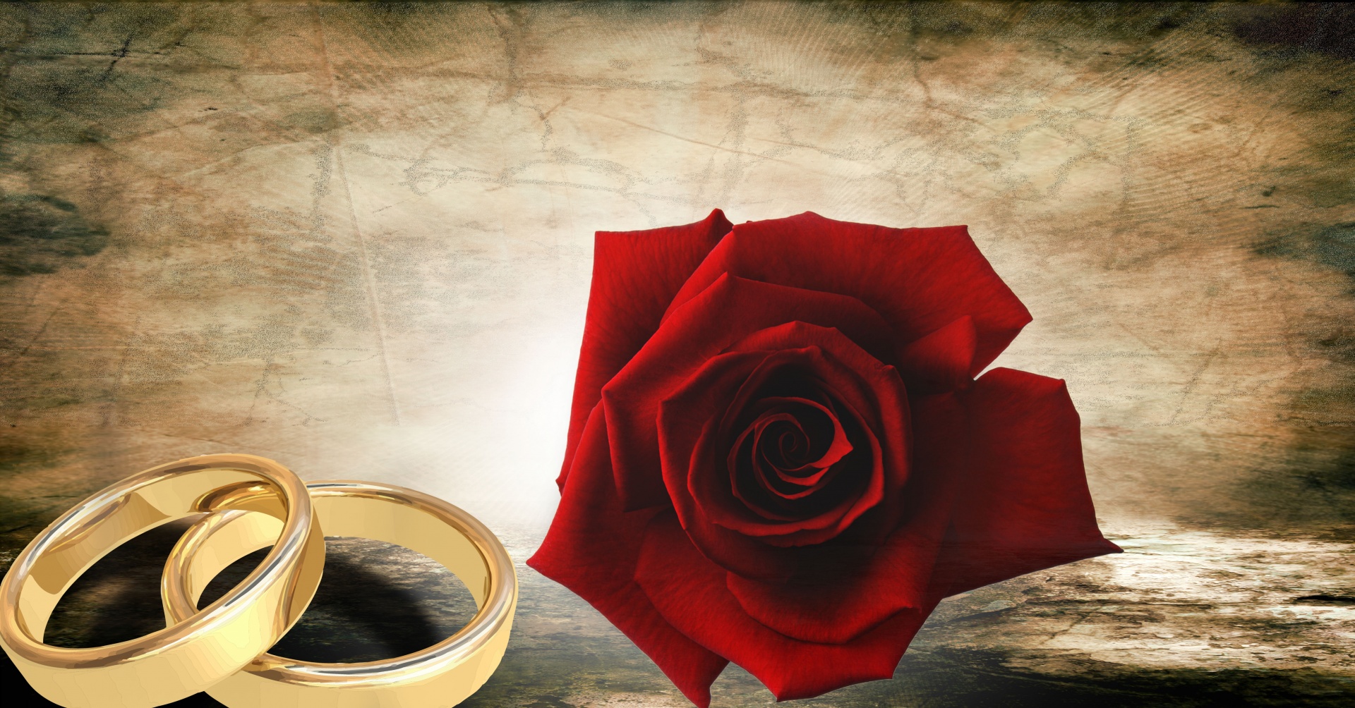 rings rose wedding rings free photo