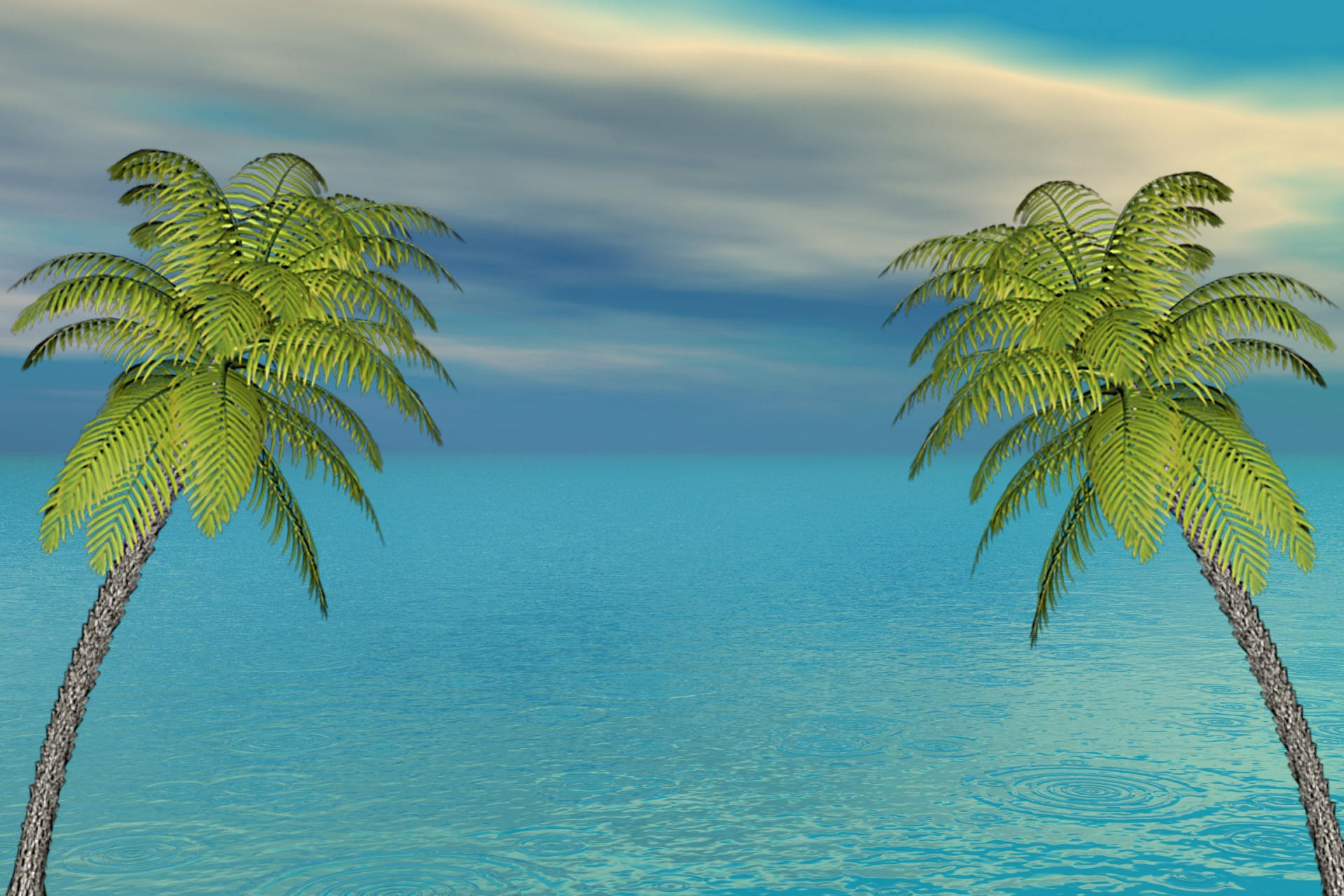 sea palm clouds free photo