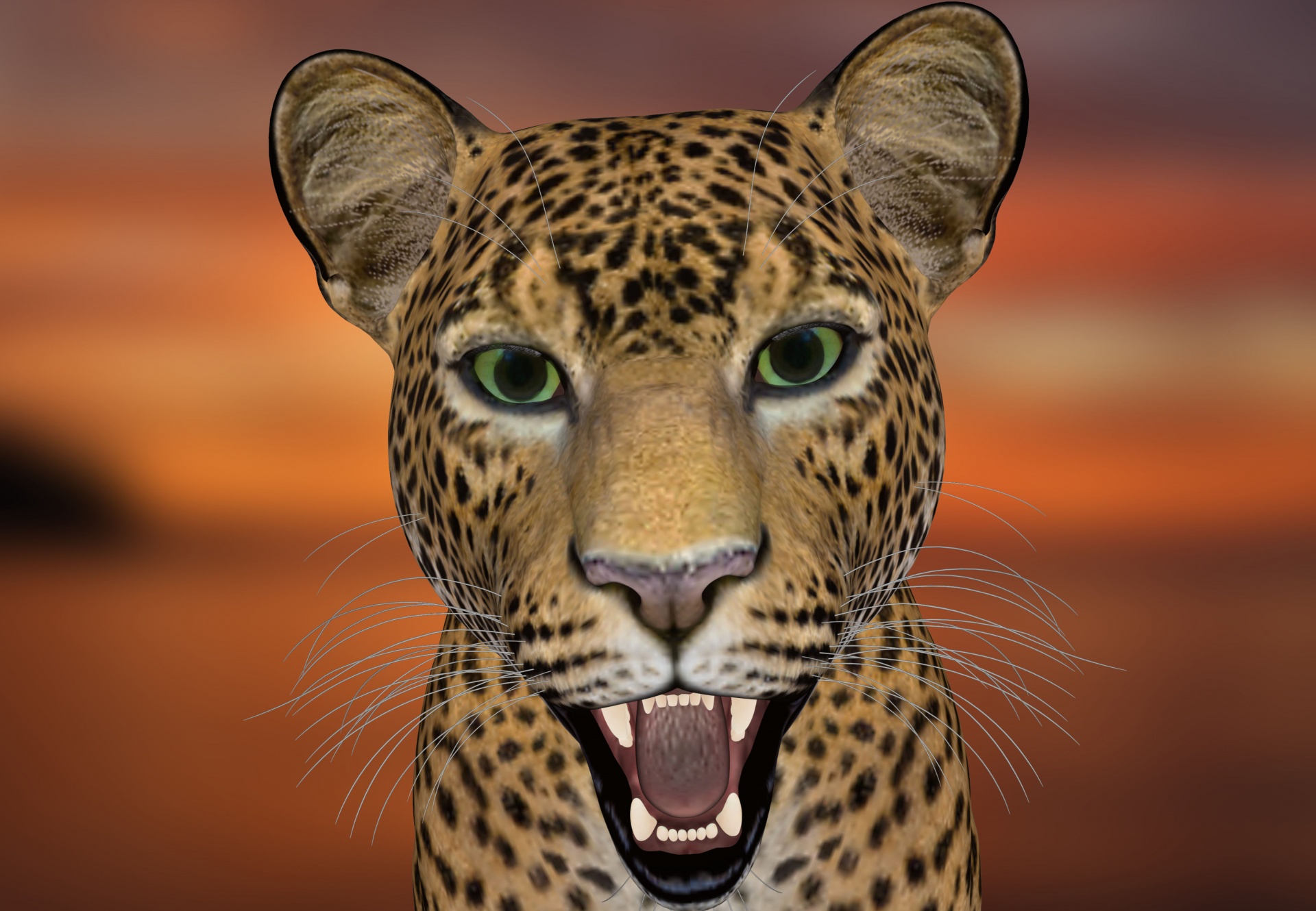 leopard leopard head wildlife free photo