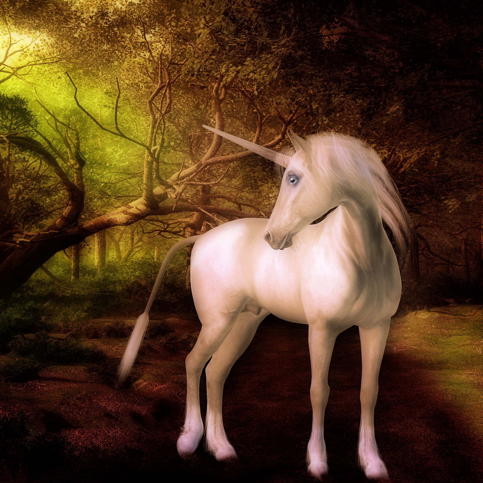 unicorn mythical creature mane free photo