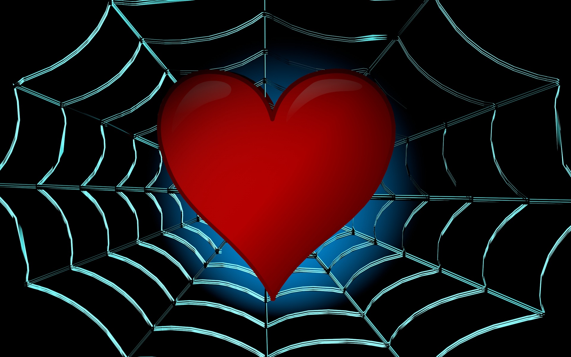 web heart spider web free photo