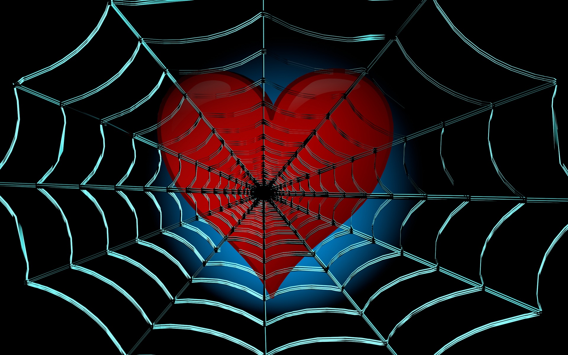 web heart spider web free photo
