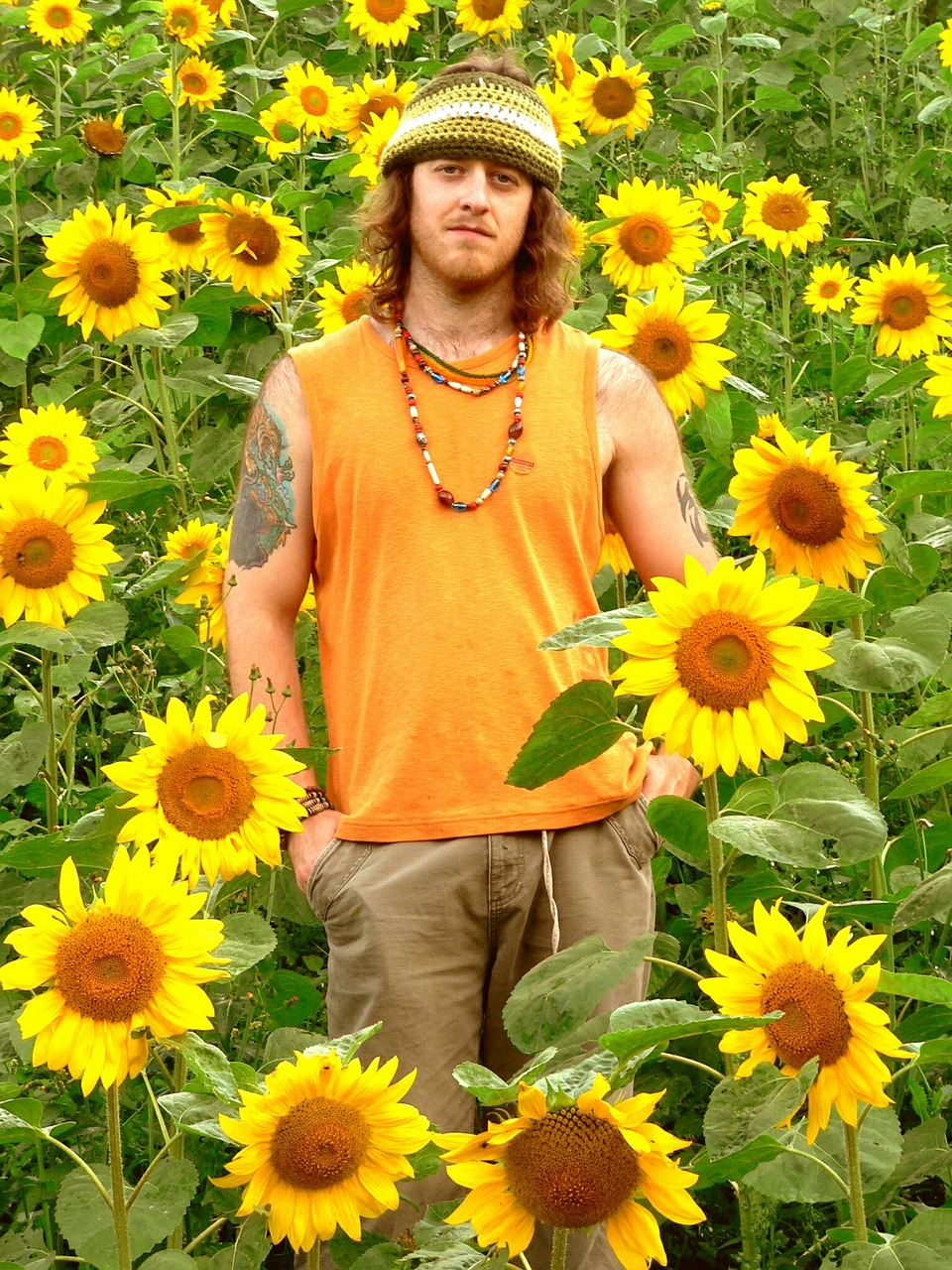 hippie sunflowers yellow free photo