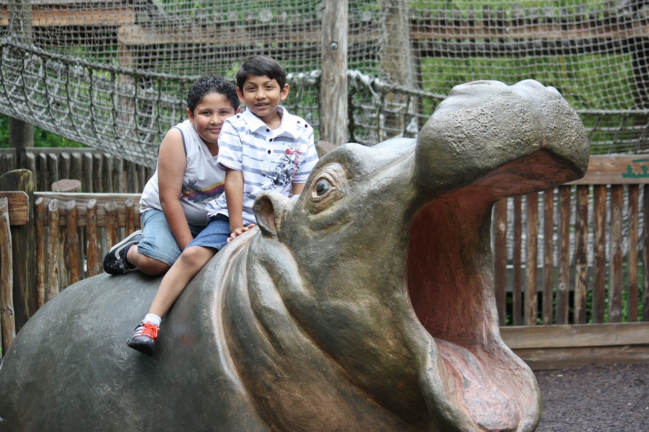 hippo hippopotamus animal free photo