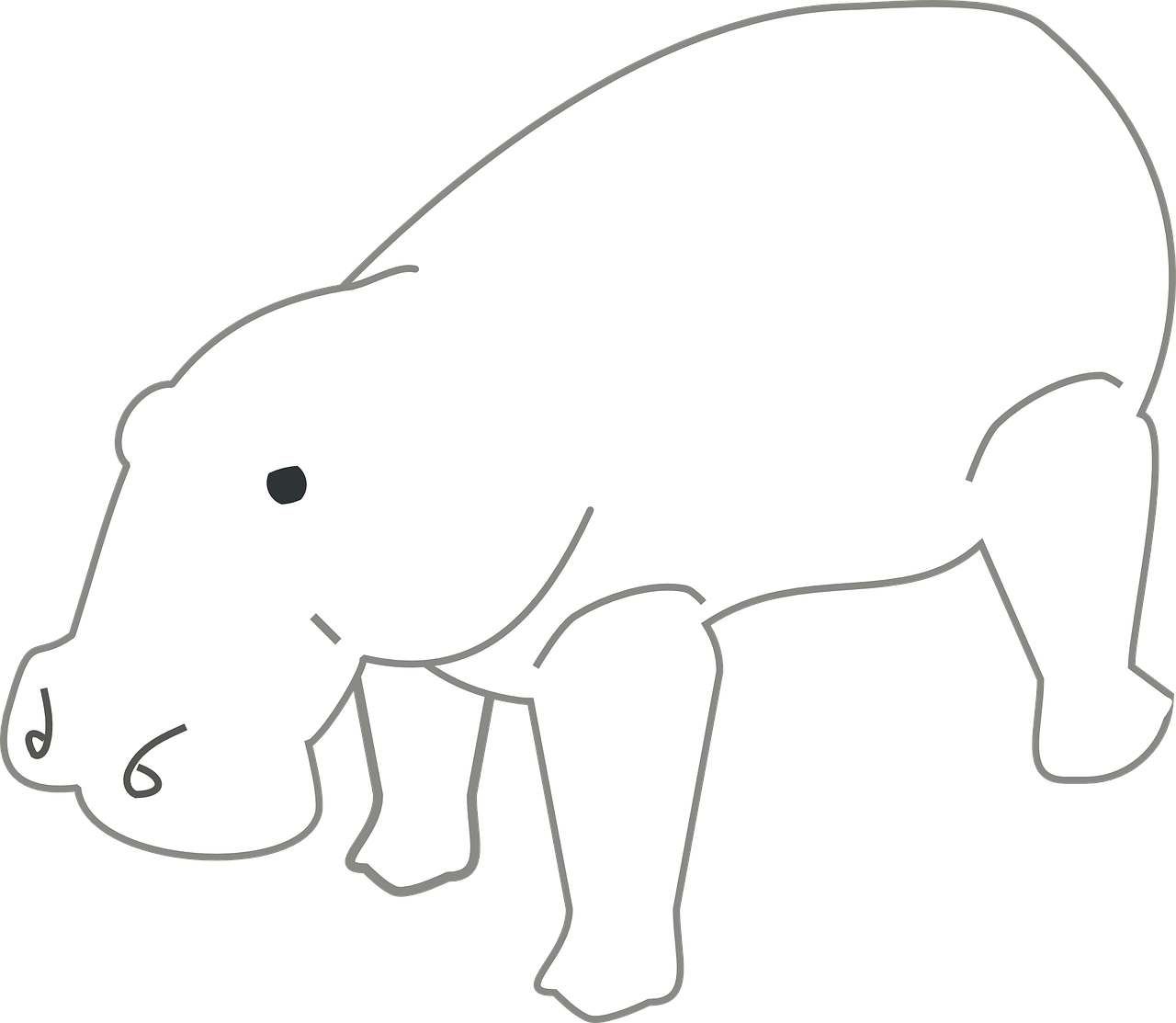 hippo animal outlines free photo