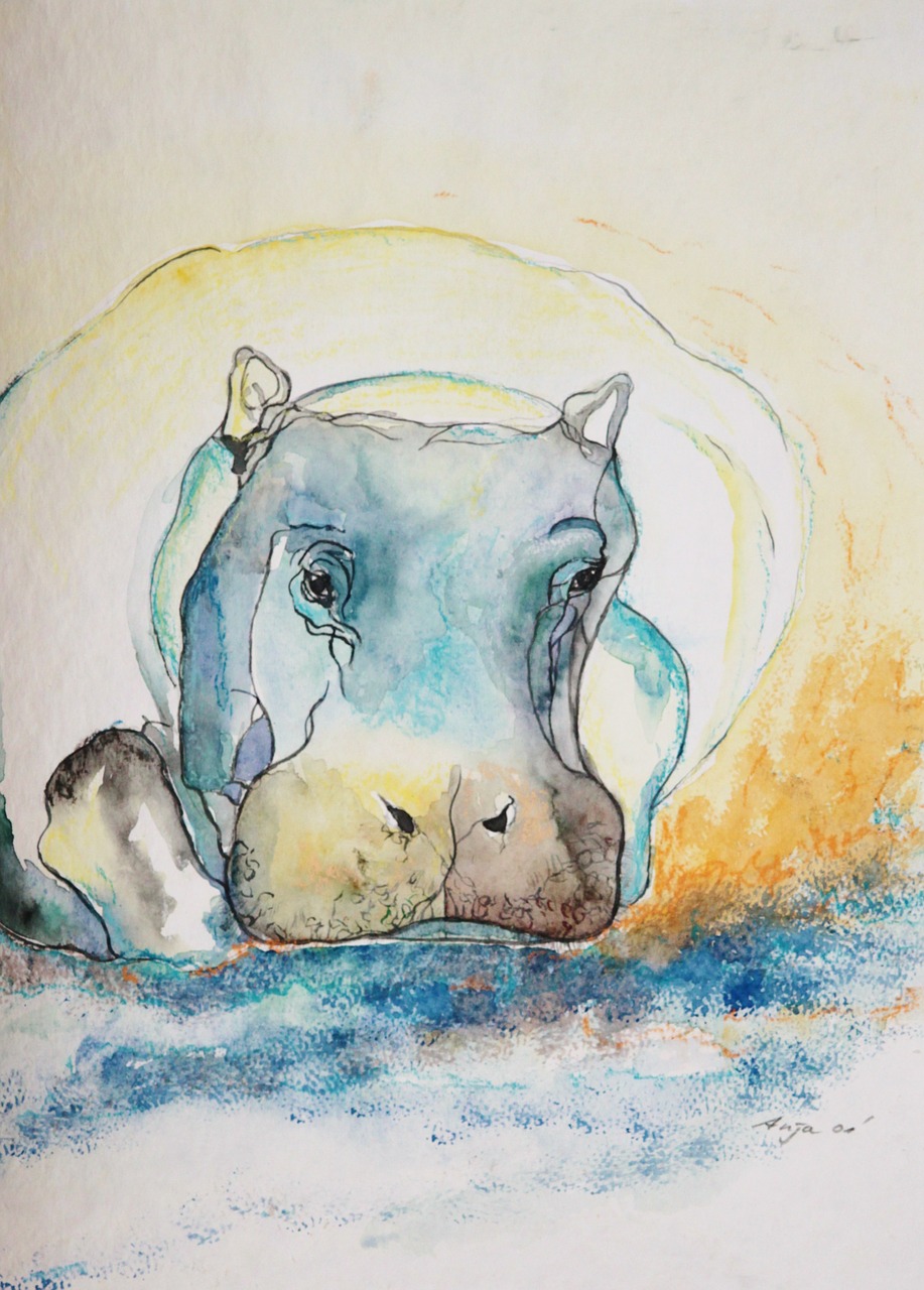 hippo animal watercolour free photo
