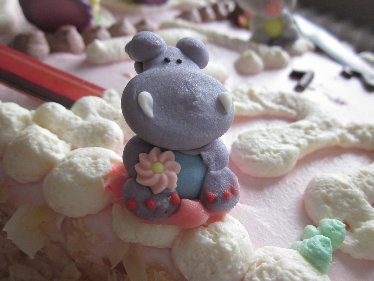 hippopotamus photo birthday cake free photo