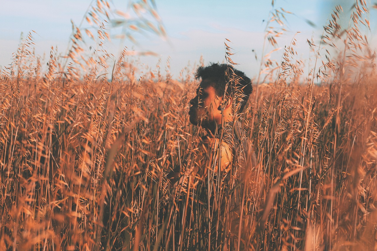 hipster wheat barley free photo