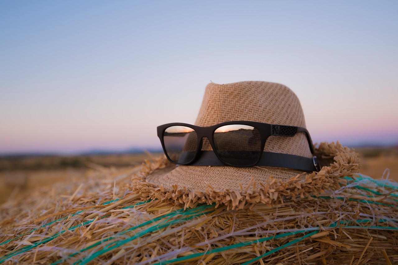 hipster hat sunglasses free photo