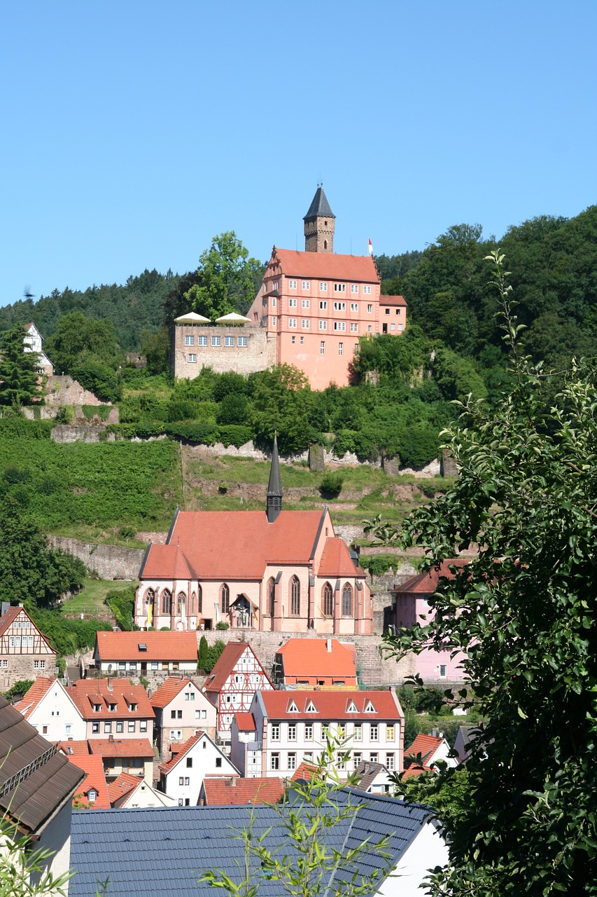 hirschhorn neckar castle free photo