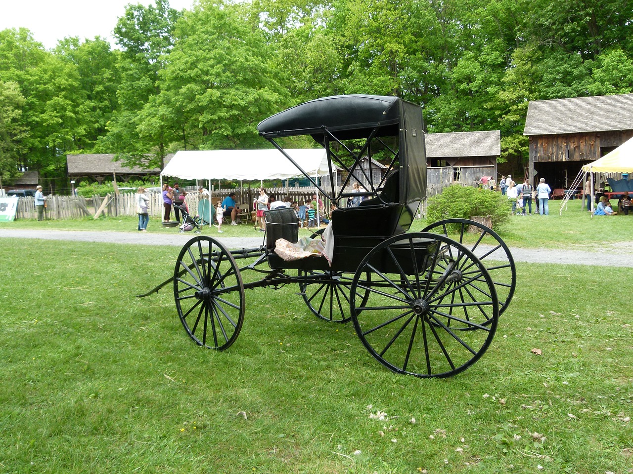 historic vehicle carriage free photo