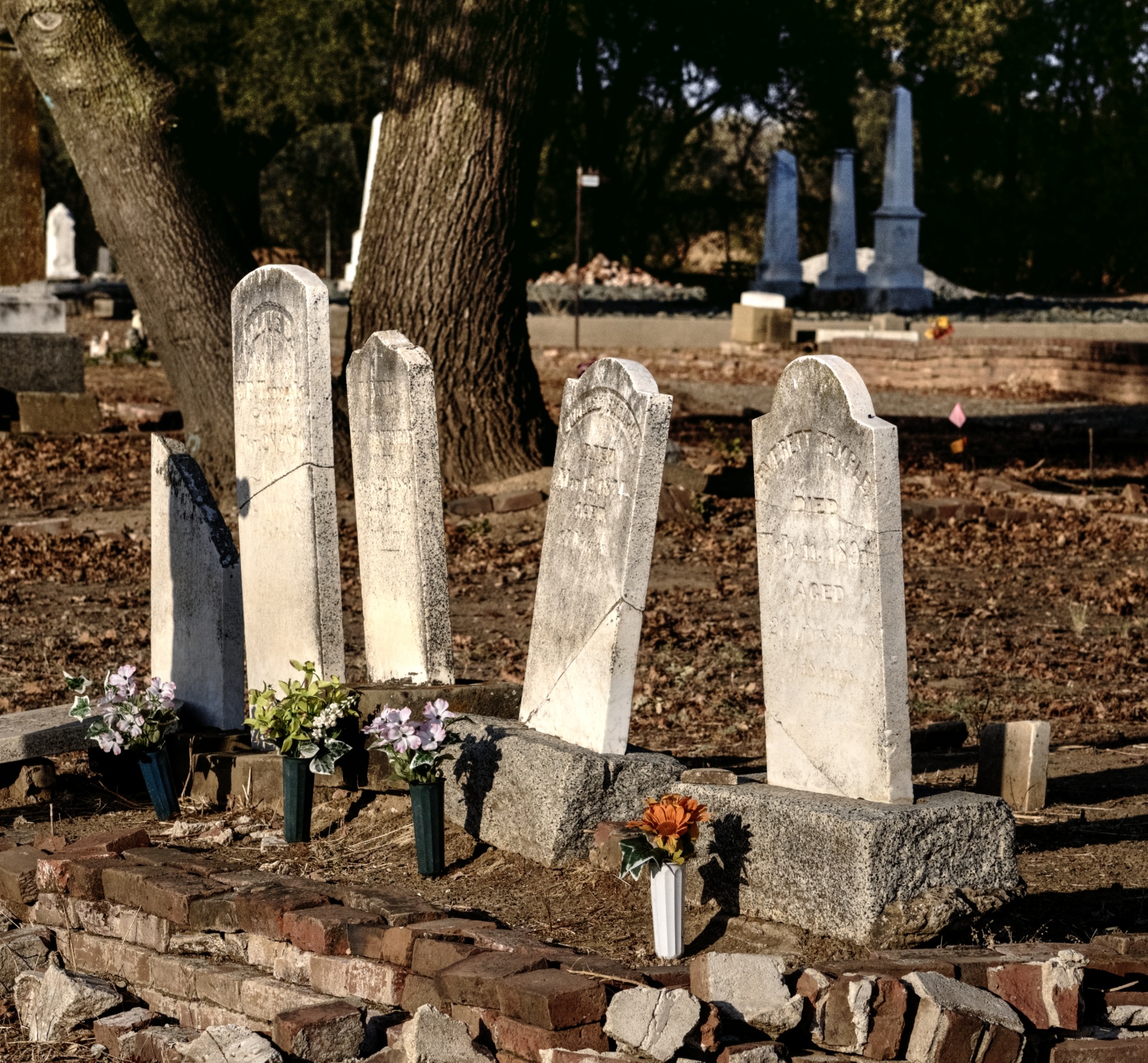 cemetery gravestone gravestones free photo