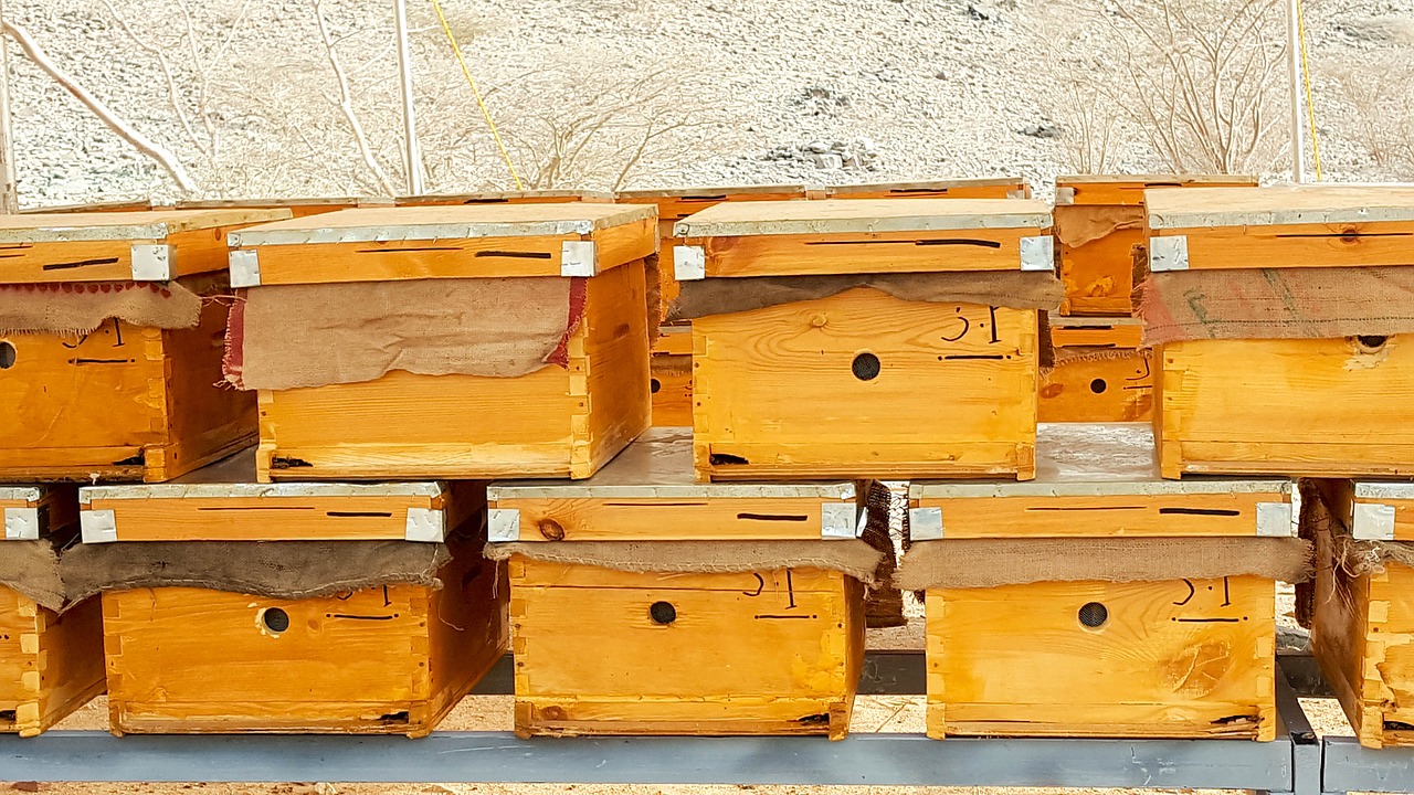 hive beehive honey free photo