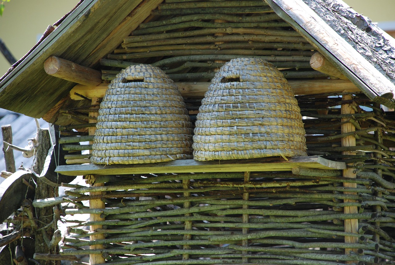 hive honey bee bee keeping free photo