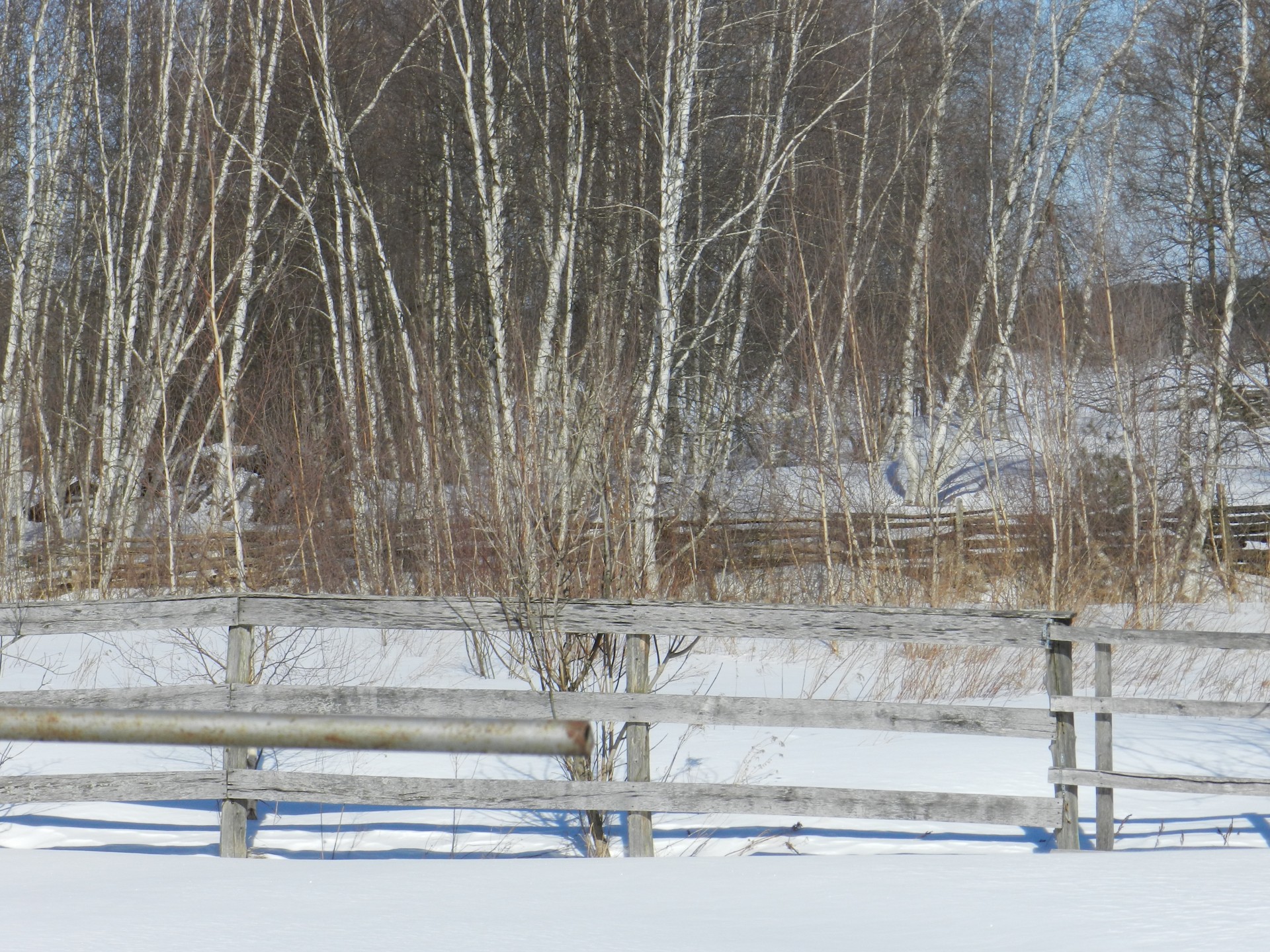 landscape countryside winter free photo