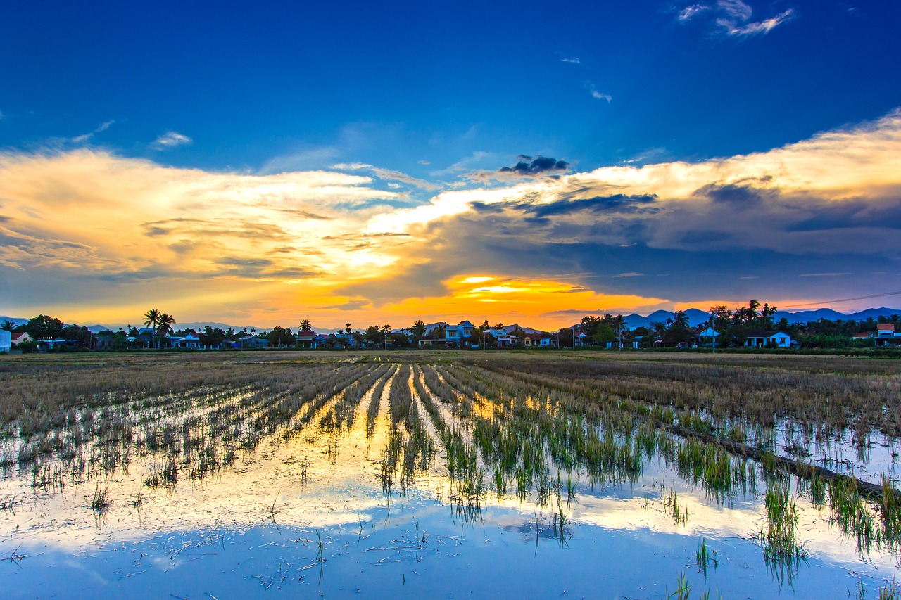 hoằng than thunderstorm free photo