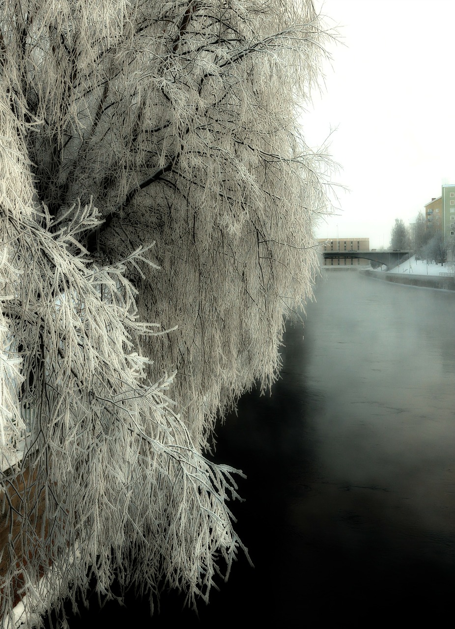 hoarfrost river water free photo