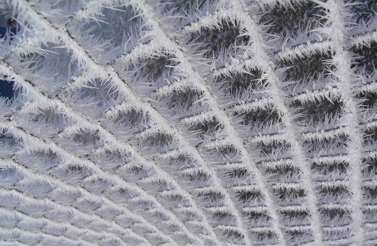 hoarfrost wire mesh fence free photo