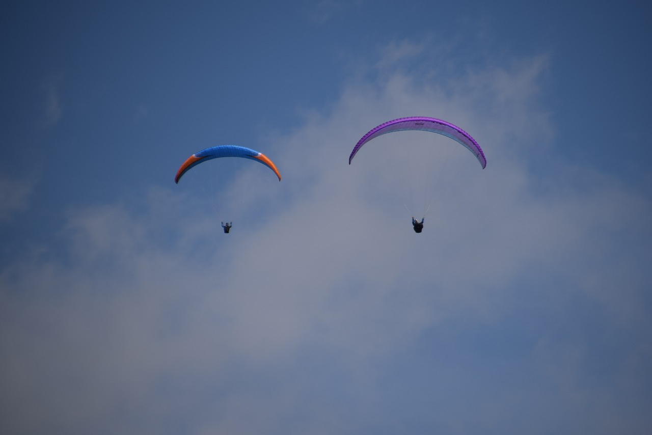 hobby paragliding paraglider free photo