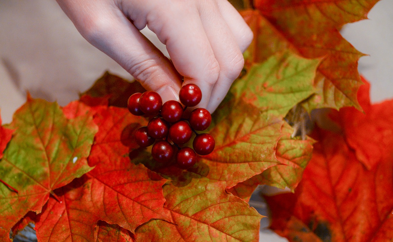 hobby autumn leaves free photo