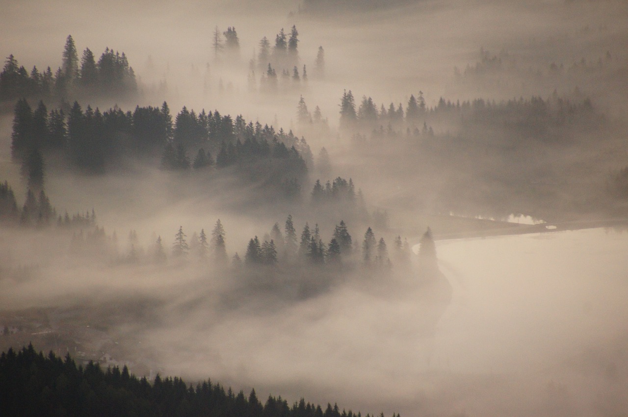 hochlantsch mountain sea of fog free photo