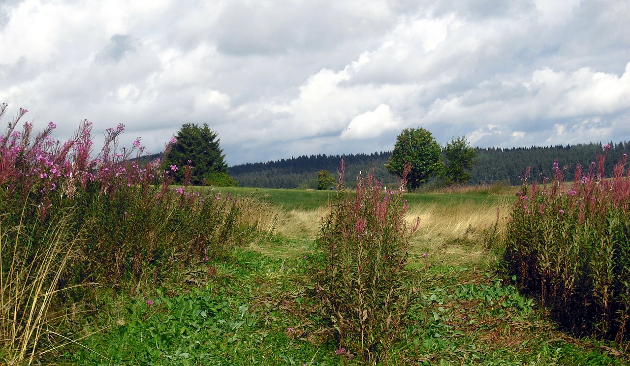 hochrhoen landscape nature reserve free photo