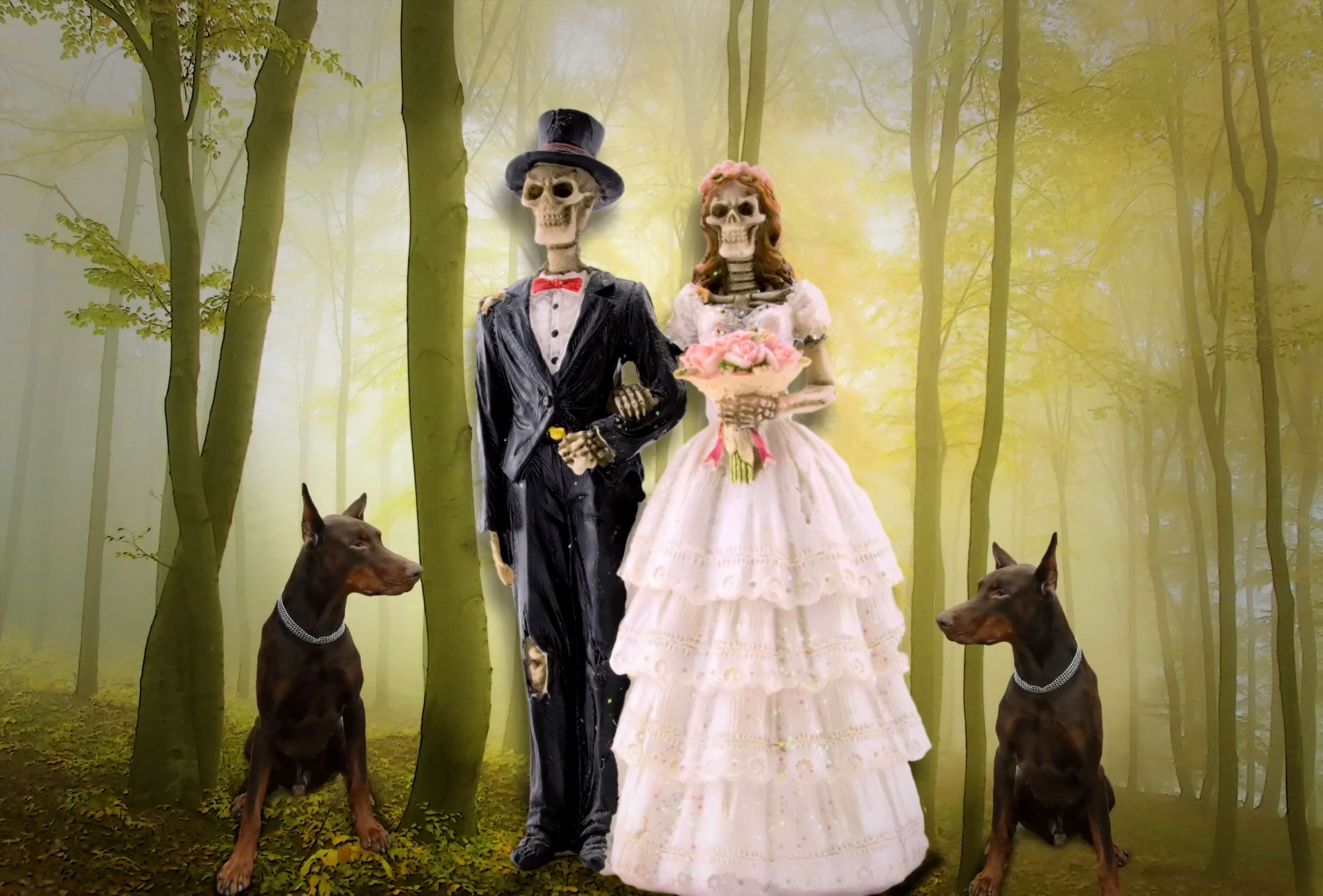 newlyweds skeleton gothic free photo