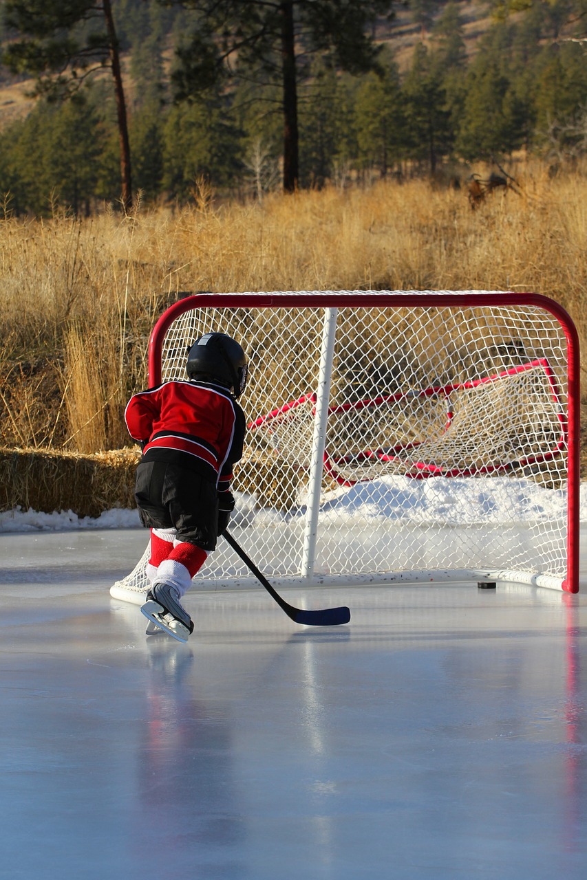 hockey outdoor rink net free photo