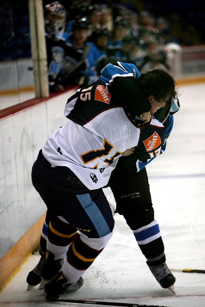 hockey fight ice rink free photo