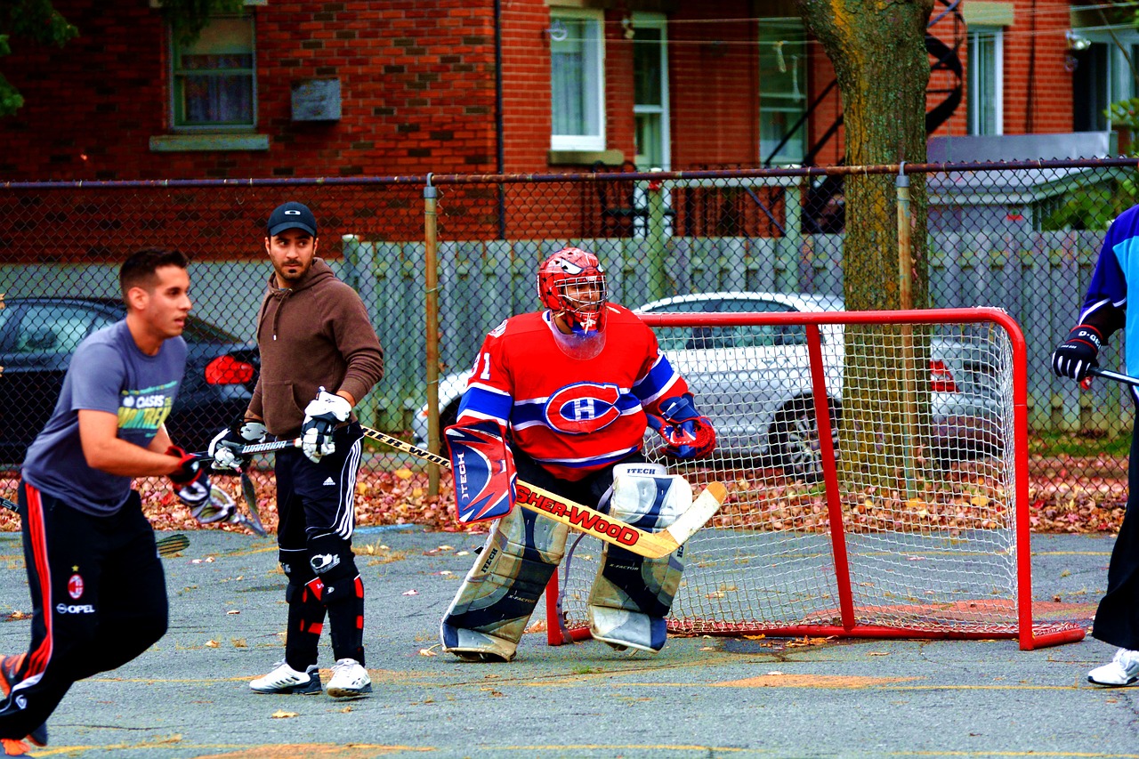 hockey district montréal free photo
