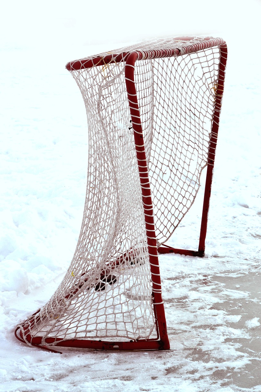 hockey net ice free photo